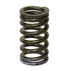 PSYCHIC EXHAUST VALVE SPRING