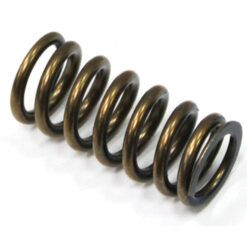PSYCHIC INTAKE VALVE SPRING