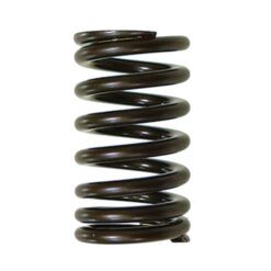 PSYCHIC INTAKE VALVE SPRING
