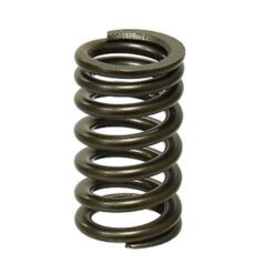 PSYCHIC INTAKE VALVE SPRING