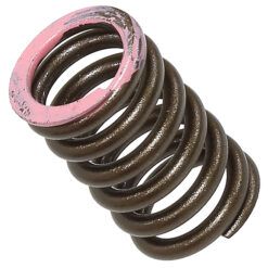 PSYCHIC INTAKE VALVE SPRING