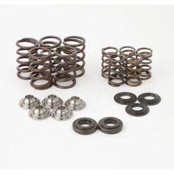 HOTCAMS VALVE SPRING KIT