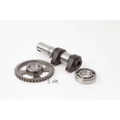 HC CAM SHAFT -DUAL