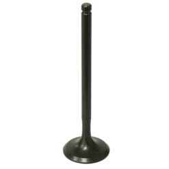 PSYCHIC EXHAUST VALVE R/T
