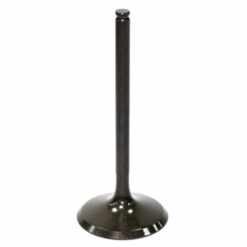 PSYCHIC INTAKE VALVE R/T