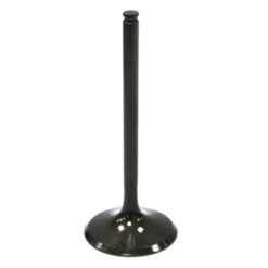 PSYCHIC INTAKE VALVE R/T