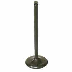 PSYCHIC INTAKE VALVE R/T