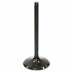 PSYCHIC INTAKE VALVE R/T