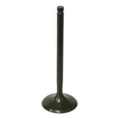 PSYCHIC INTAKE VALVE R/T