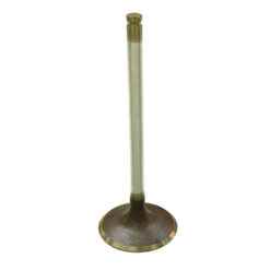 PSYCHIC INTAKE VALVE R/T