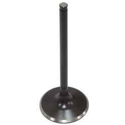 PSYCHIC INTAKE VALVE R/T