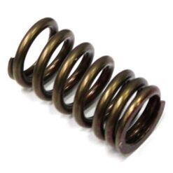 PSYCHIC EXHAUST VALVE SPRING