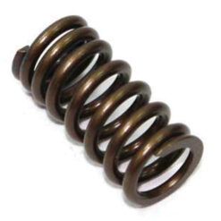 PSYCHIC EXHAUST VALVE SPRING