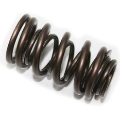 PSYCHIC EXHAUST VALVE SPRING