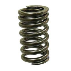 PSYCHIC EXST/INTK VALVE SPRING