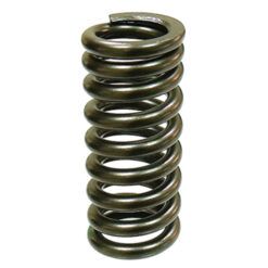 PSYCHIC EXHAUST VALVE SPRING