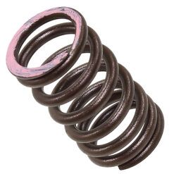PSYCHIC EXHAUST VALVE SPRING