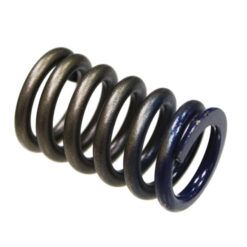 PSYCHIC INTAKE VALVE SPRING