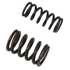PSYCHIC INTAKE VALV SPRING SET