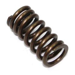 PSYCHIC INTAKE VALVE SPRING