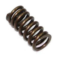 PSYCHIC INTAKE VALVE SPRING