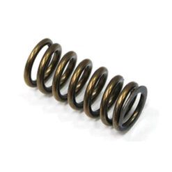 PSYCHIC INTAKE VALVE SPRING