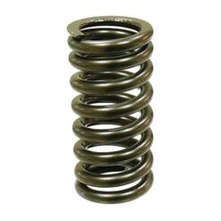 PSYCHIC INTAKE VALVE SPRING