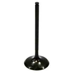 PSYCHIC INTAKE VALVE R/T