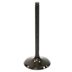 PSYCHIC INTAKE VALVE R/T
