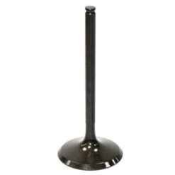 PSYCHIC INTAKE VALVE R/T