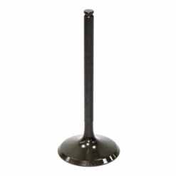 PSYCHIC INTAKE VALVE R/T