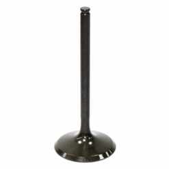 PSYCHIC INTAKE VALVE R/T