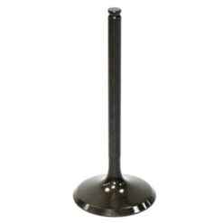 PSYCHIC INTAKE VALVE R/T
