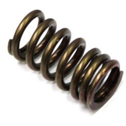 PSYCHIC  VALVE SPRING