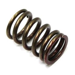 PSYCHIC EXHAUST VALVE SPRING