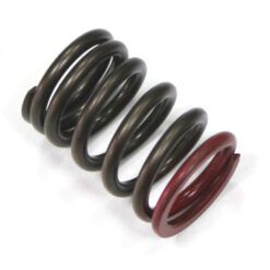 PSYCHIC EXHAUST VALVE SPRING
