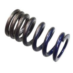 PSYCHIC INTAKE VALVE SPRING