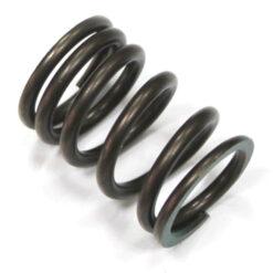 PSYCHIC INTAKE VALVE SPRING