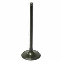 PSYCHIC INTAKE VALVE