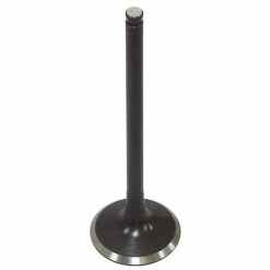 PSYCHIC EXHAUST VALVE R/T