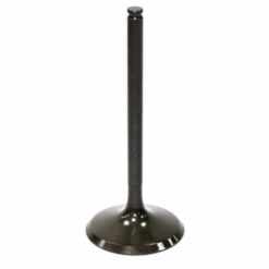 PSYCHIC INTAKE VALVE R/T