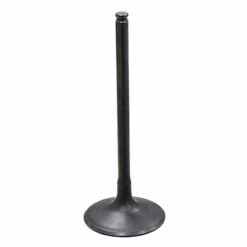 PSYCHIC INTAKE VALVE R/T