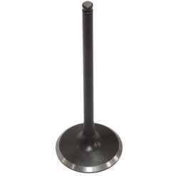 PSYCHIC INTAKE VALVE R/T