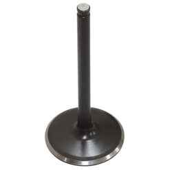 PSYCHIC INTAKE VALVE R/T