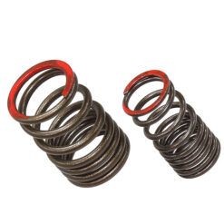 PSYCHIC EXHAUST VALVE SPRING