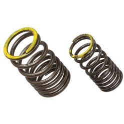 PSYCHIC EXHAUST VALVE SPRING