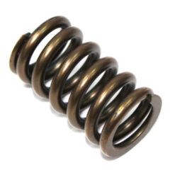 PSYCHIC INTAKE VALVE SPRING