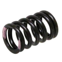 PSYCHIC INTAKE VALVE SPRING