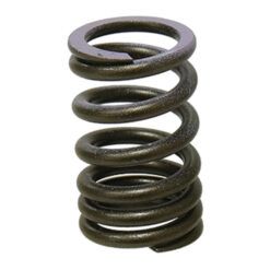 PSYCHIC INTAKE VALVE SPRING