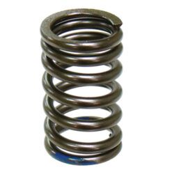 PSYCHIC INTAKE VALVE SPRING